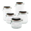 Snow Joe EatNeat Set of 5 Airtight Mason Jars W Black Lids for Food Storage, Organization, and Canning HBS6523SET